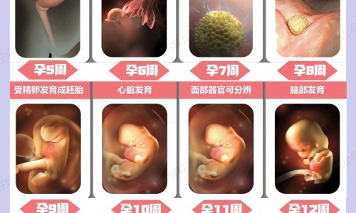 换牙期间用什么牙膏网 - 为你提供换牙期间用什么牙膏好、换牙期间用什么样的牙刷比较好